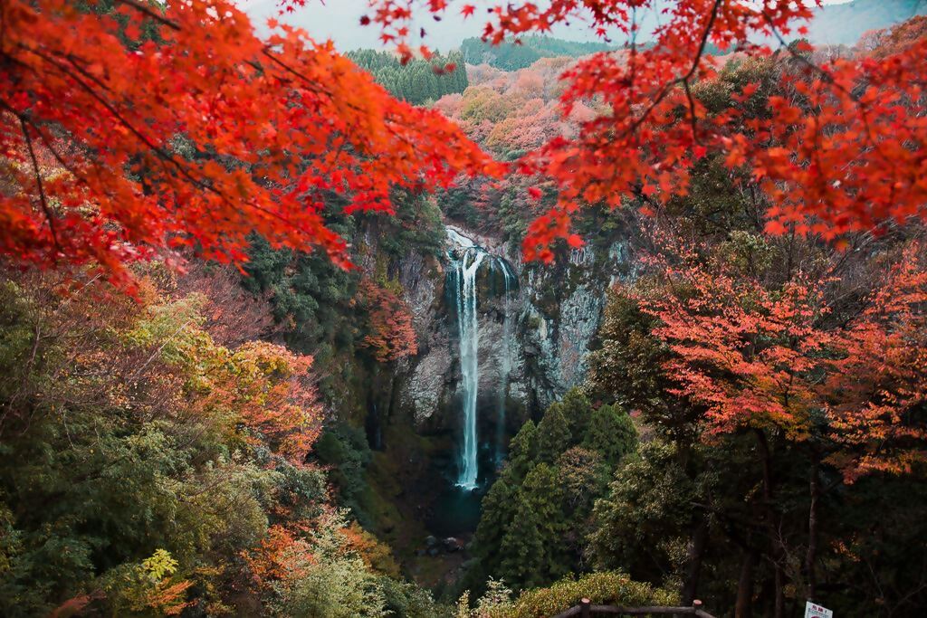 福貴野の滝の風景