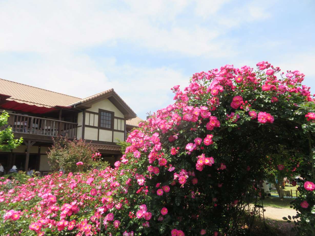 花のアーチのある大神ファームの建物の様子