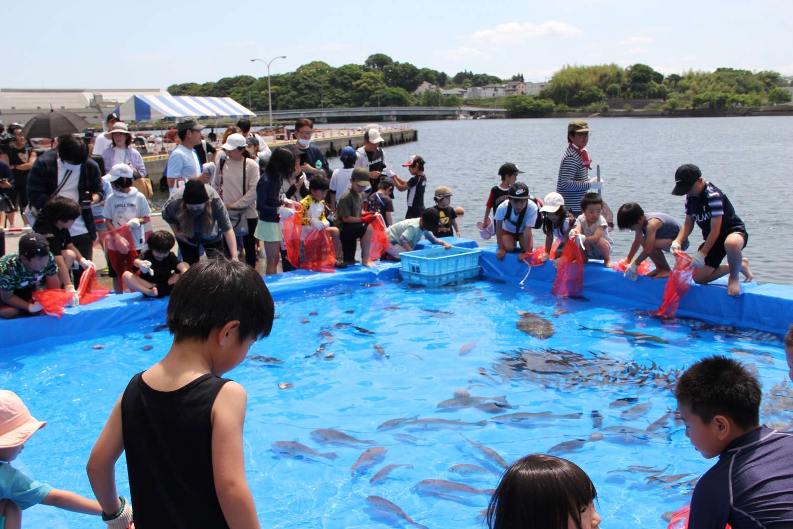 大きな水槽を泳ぐ魚を見つめる人々