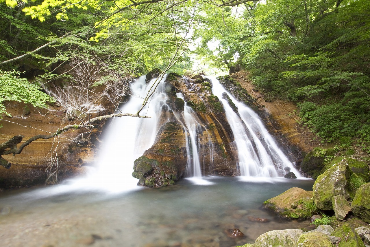 小さな滝の流れる男池の写真