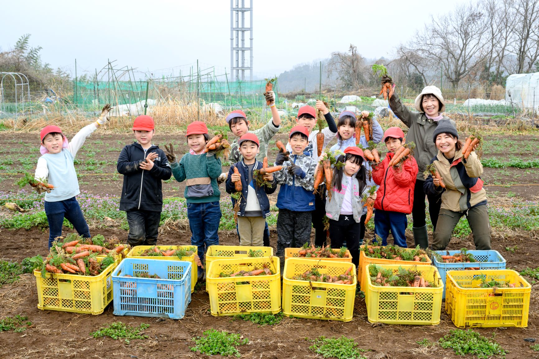 子どもたちの収穫体験